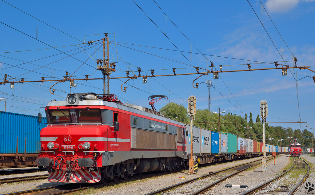S 363-019 mit Containerzug wartet in Pragersko fr weiterfahrt Richtung Hafen Koper. /29.8.2012