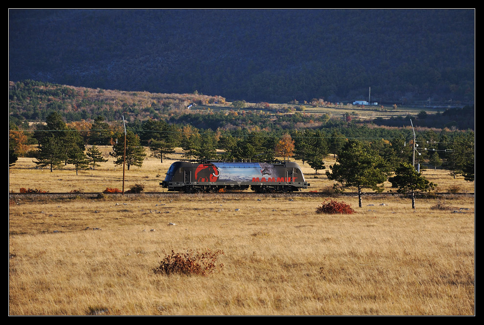 S 541-104 auf der Koperbahn zwischen Hrpelje-Kozina und Črnotice(15.11.2011).