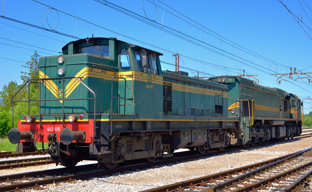 S 643-015+664-107 fahren als Lokzug durch Pragersko. / 9.5.2012
