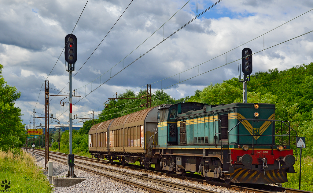 S 643-040 zieht Gterzug durch Maribor-Tabor Richtung Maribor Hauptbahnhof. /26.6.2013