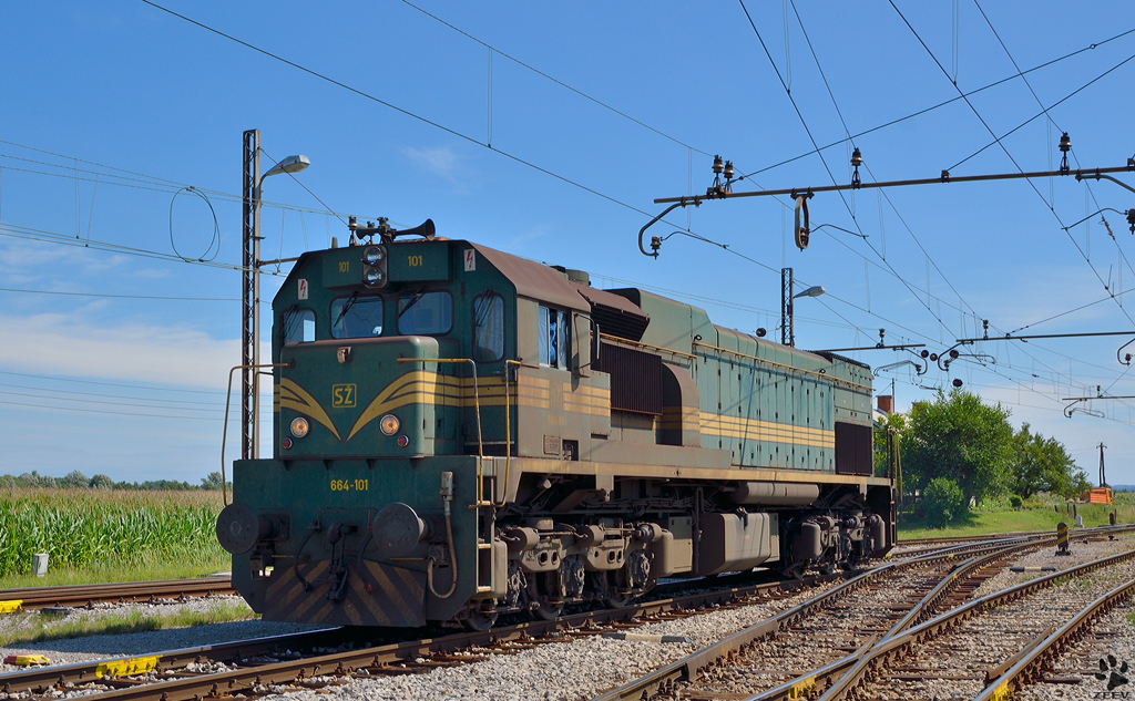 S 664-101 bei Gleiswechseln auf Bahnhof Pragersko. / 17.7.2012