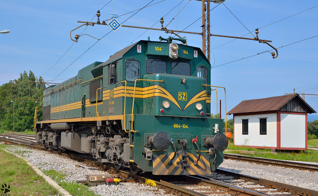 S 664-104 bei der Gleiswechseln in Pragersko Bahnhof. /24.7.2012