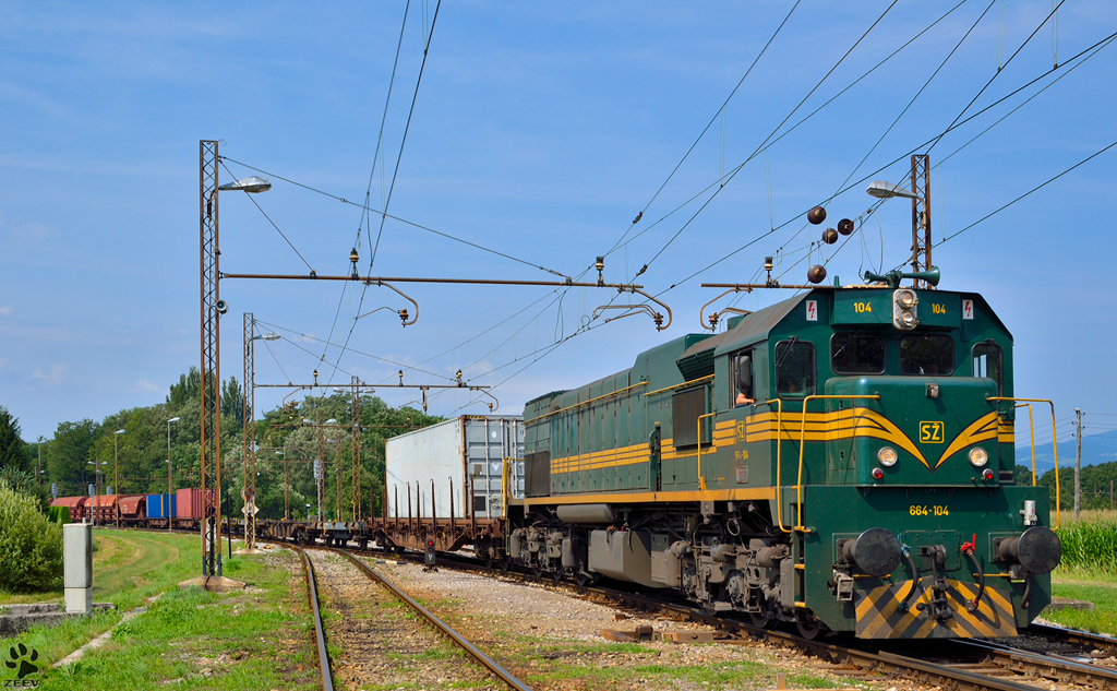 S 664-104 zieht Gterzug durch Pragersko Richtung Hodo. /24.7.2012