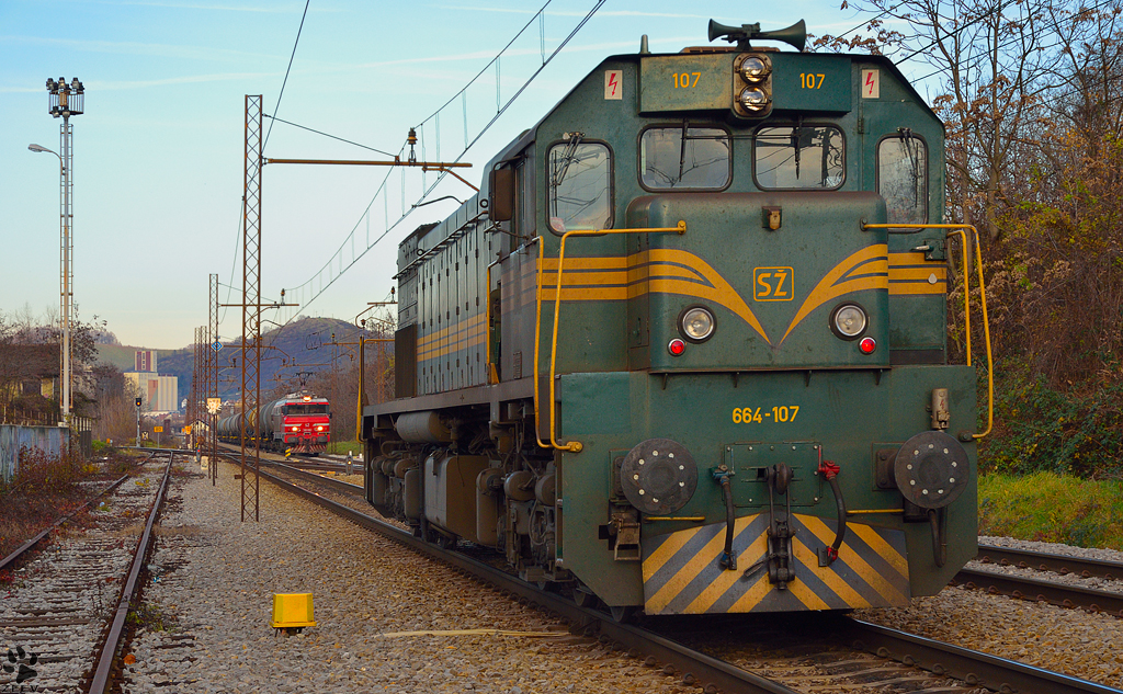 S 664-107 fhrt als Lokzug durch Maribor-Tabor Richtung Studenci Bahnhof. 26.11.2012