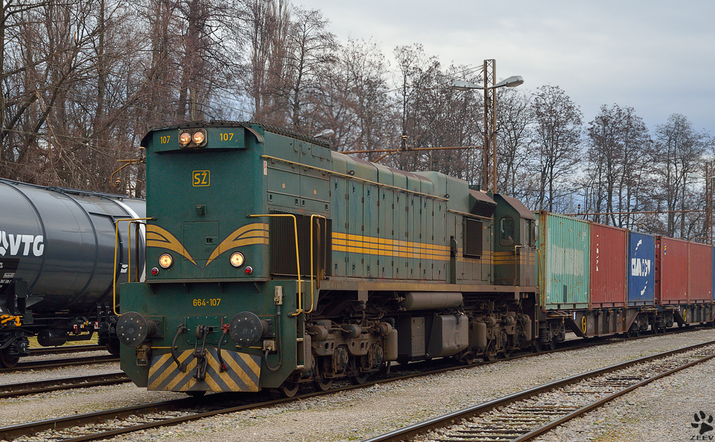 S 664-107 mit Containerzug aus Hodo fhrt Bahnhof Pragersko ein. /28.12.2012