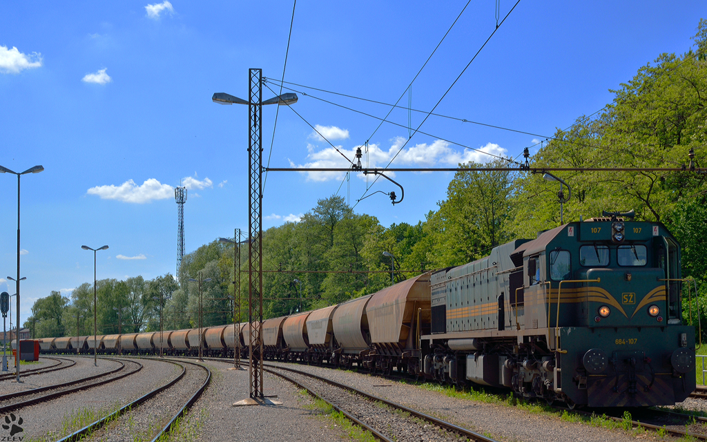 S 664-107 mit Gterzug wartet in Pragersko fr Weiterfahrt Richtung Hodo. / 9.5.2012