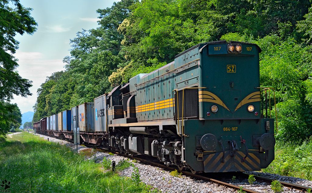 S 664-107 zieht Gterzug durch Maribor-Studenci Richtung Tezno Verschiebebahnhof. /3.7.2013