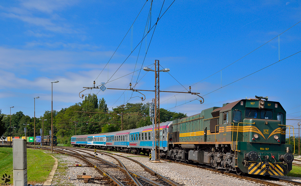 S 664-110 verliest mit MV24  'Citadella' die Bahnhof Pragersko Richtung Budapest. /7.9.2012