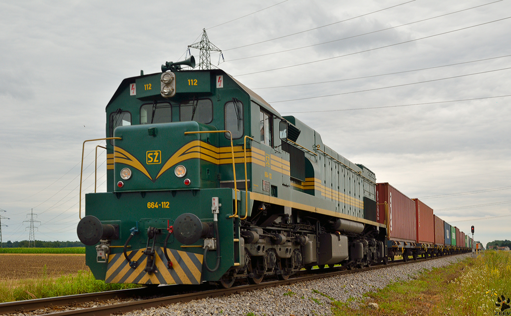 S 664-112 zieht Containerzug nahe Cirkovce Richtung Hafen Koper. /13.7.2012