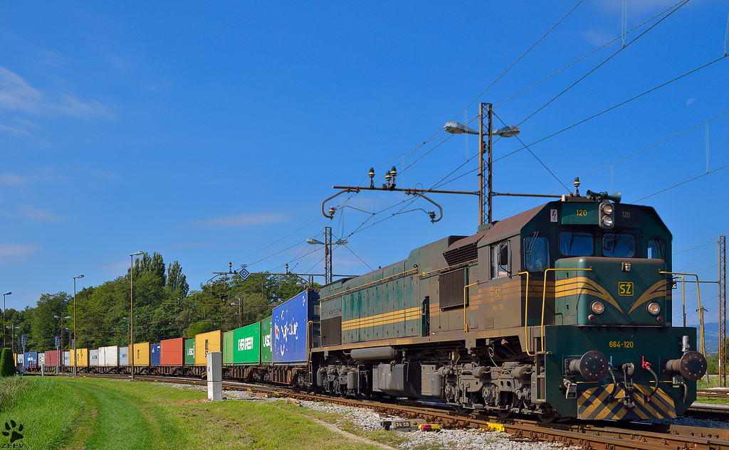 S 664-120 mit Containerzug verlist Bahnhof Pragersko Richtung Hodo. /7.9.2012