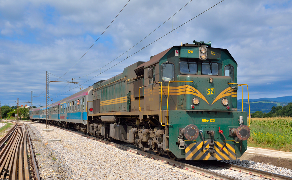 S 664-120 mit MV247 'Citadella' verliest Bahnhof Pragersko Richtung Budapest. /7.8.2012