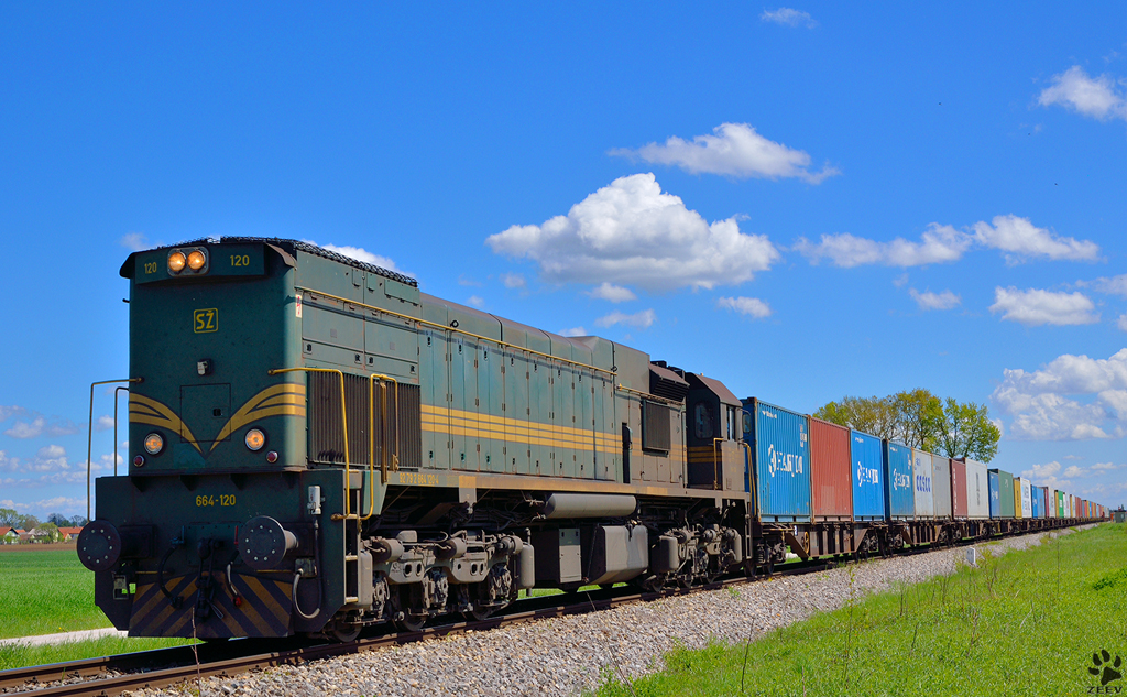 S 664-120 zieht Containerzug durch Gaj bei Pragersko Richtung Hafen Koper. / 25.4.2012