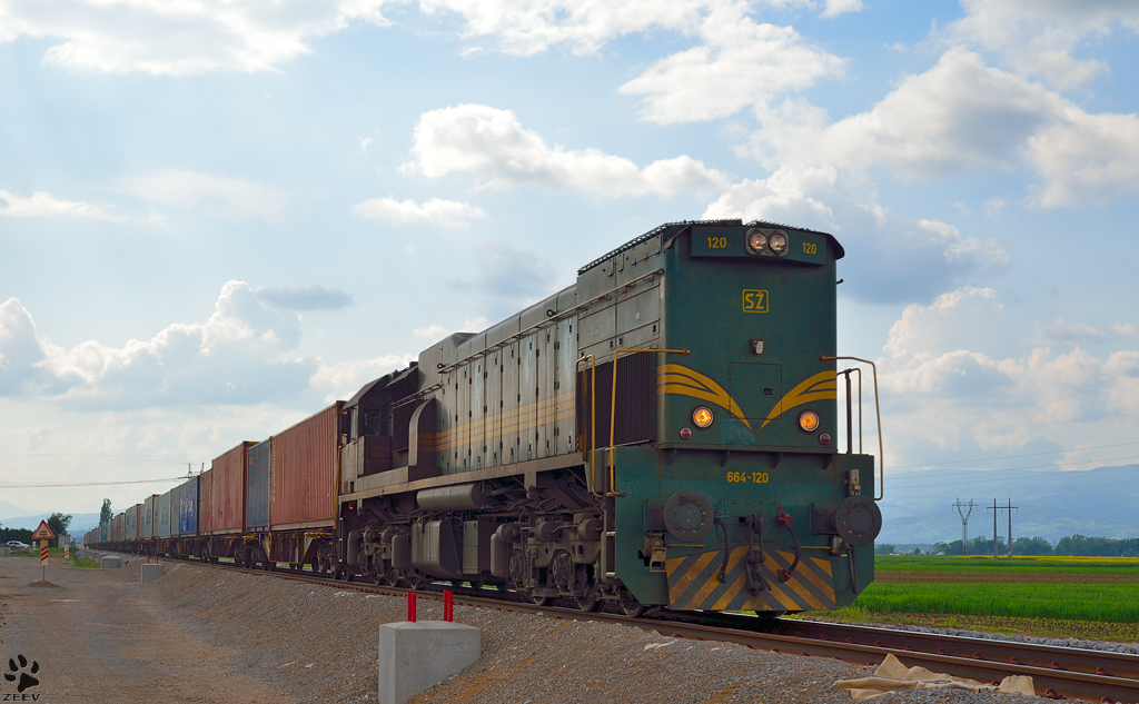 S 664-120 zieht Containerzug durch Cirkovce Richtung Hodos. /8.5.2013