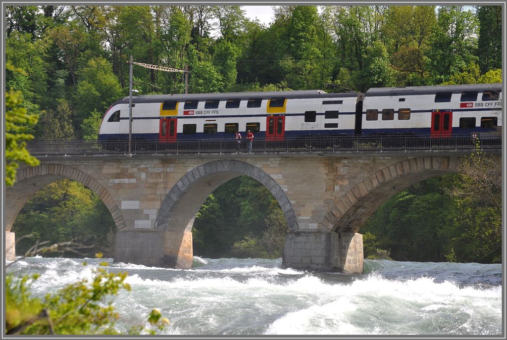 S16 19663 auf dem Rheinfallviadukt in Neuhausen. (07.05.2013)