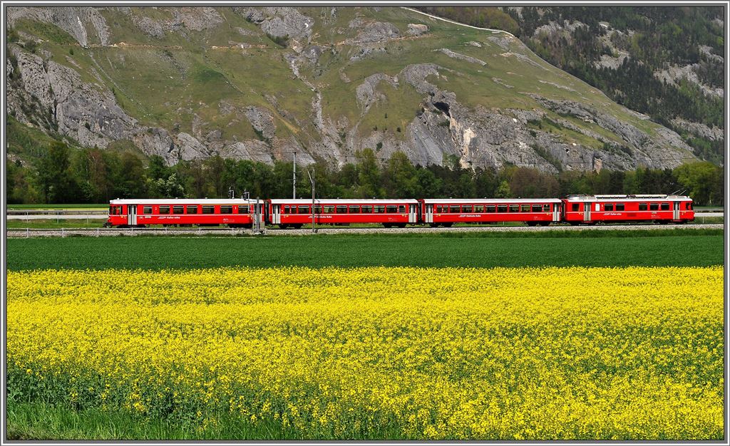 S2 1559 zwischen Chur West und Felsberg. (02.05.2013)