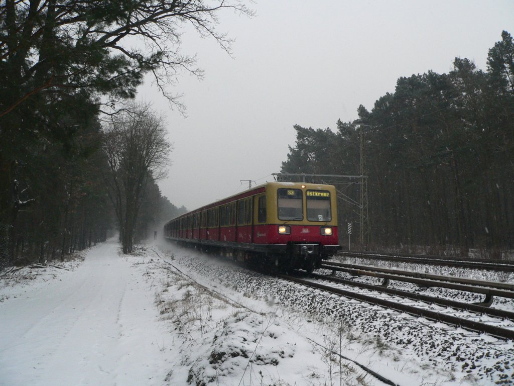 S3 nach Ostkreuz fährt in Rahnsdorf ein. Derzeit sind auf der S3 neben den im Bild zu sehenden Fahrzeugen der BR 485 auch solche der BR 481 unterwegs, weil diese wegen der starken Anstrengungen bei der Wartung mittlerweile auch im Winter zuverlässig fahren. 23.12.2012, Rahnsdorf
