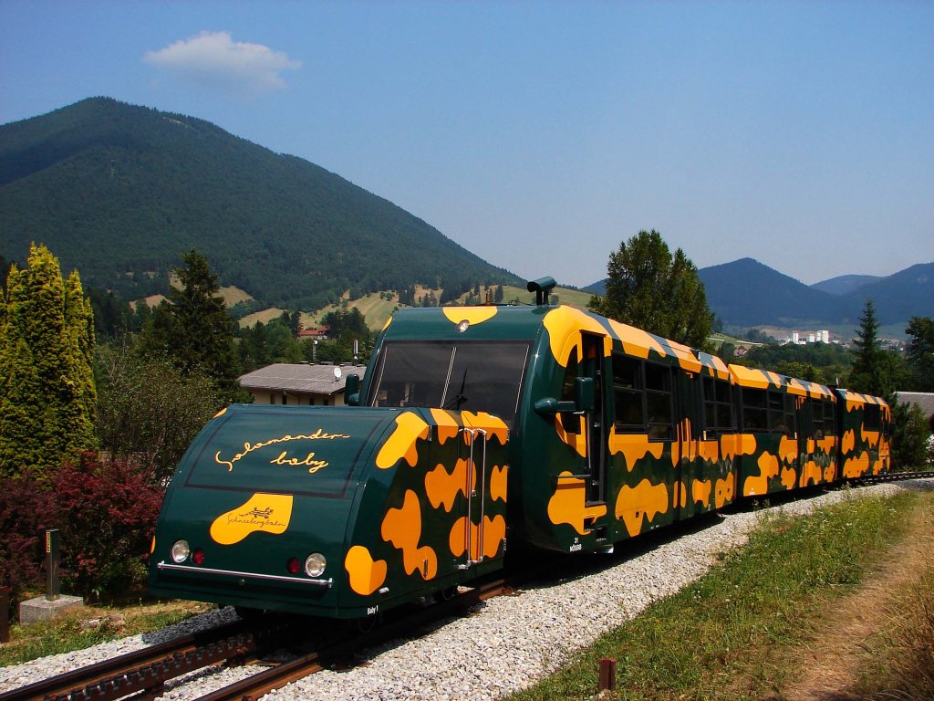 Salamander Triebzug verlsst den Bahnhof Puchberg am Schneeberg
04.08.2013.