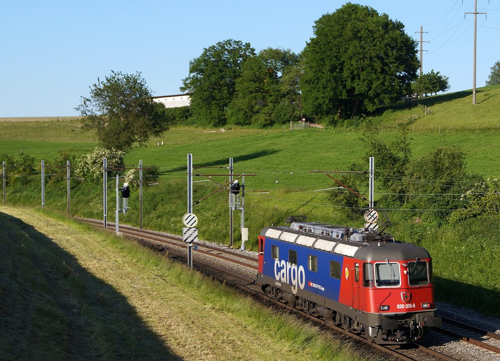 SBB: Die frisch revidierte Re 620 059-6 mit SBB-Cargo-Anstrich als  SOLISTIN  unterwegs bei Niederbipp am 6. Juni 2013. Dabei handelt es sich um die ehemalige Re 6/6 11659, eine der letzten  Grnen  mit runden Lampen.
Foto: Walter Ruetsch