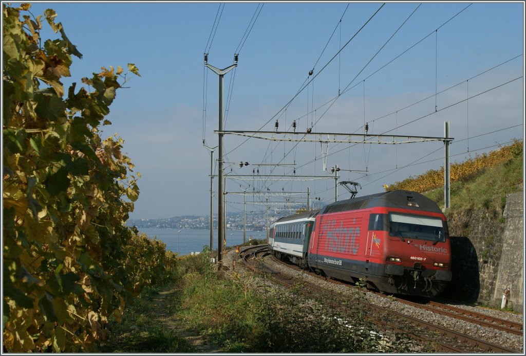 SBB Re 460 102-7  Historic  mit einem IR nach Brig bei Cully.
22.Oktober 2011