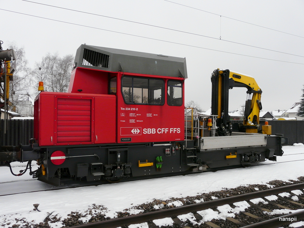 SBB - Tm 2/2  234 215-2 abgestellt im Bahnhof Luterbach-Attisholz am 10.02.2013