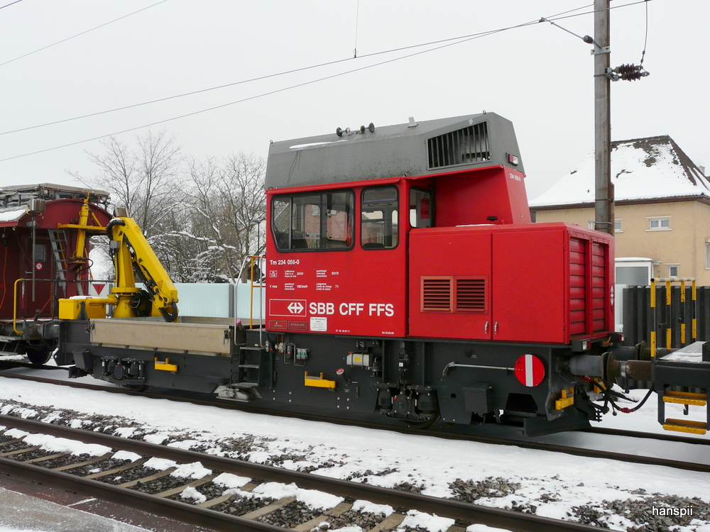 SBB - Tm 234 056-0 abgestellt im Bahnhof Luterbach-Attisholz am 10.02.2013