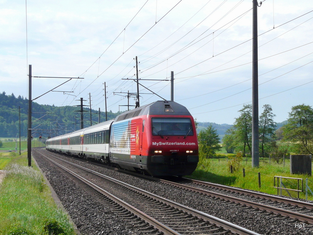 SBB - Werbelok 460 036-7 mit Schnellzug unterwegs bei Bettenhausen/BE am 19.05.2012