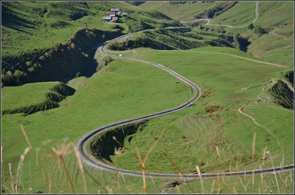 Schlangenlinie auf der Kuhmad. Oktober 2011.