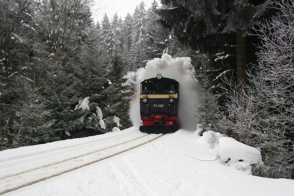 Schneegestber im Wald. Aufgenommen bei Neuheide am 07. Februar 2010.