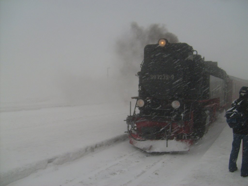 Schneesturm auf dem Brocken am 19.2.2010.
Nachdem der Brockenzug mit 99 222 wegen Lokschadens in Schierke steckenblieb,kam erst nach 70 Minuten 99 7239 wieder auf den Brocken.
Mit dem Zug bin ich anschlieend wieder nach unten gefahren,denn es war mittlerweile eisig kalt geworden.

Harzreise 2/2010
