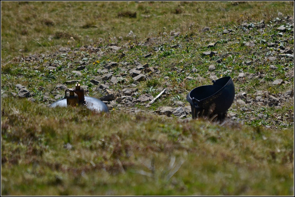 Schnorchel in der Bergwiese. Lok 16 der BRB versucht sich den Blicken des Fotografen zu entziehen. Rothorn im Oktober 2011.
