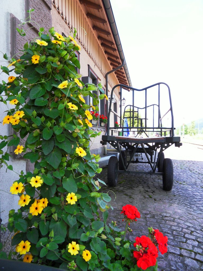 Schn blhende Pflanzen am 07. Juli 2012 im Bahnhof Blumberg Zollhaus an der Wutachtalbahn.