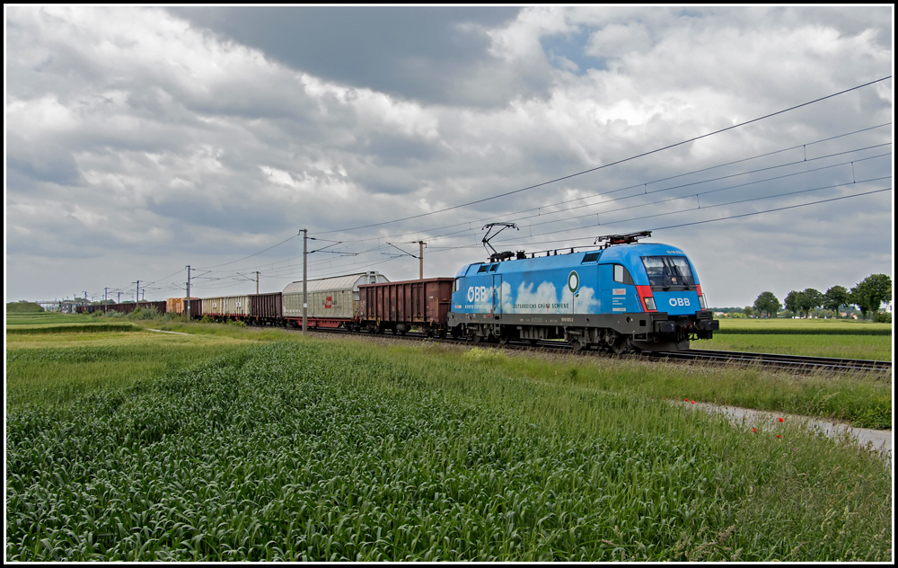 Schon seit 2004 ist 1016 023 in  Namen der Umwelt  unterwegs, so auch am 24. Mai 2013, an dem sie mit dem DG 55507 von Wien Zentralverschiebebahnhof nach Villach unterwegs war. Aufgenommen wurde sie kurz nach Wampersdorf.