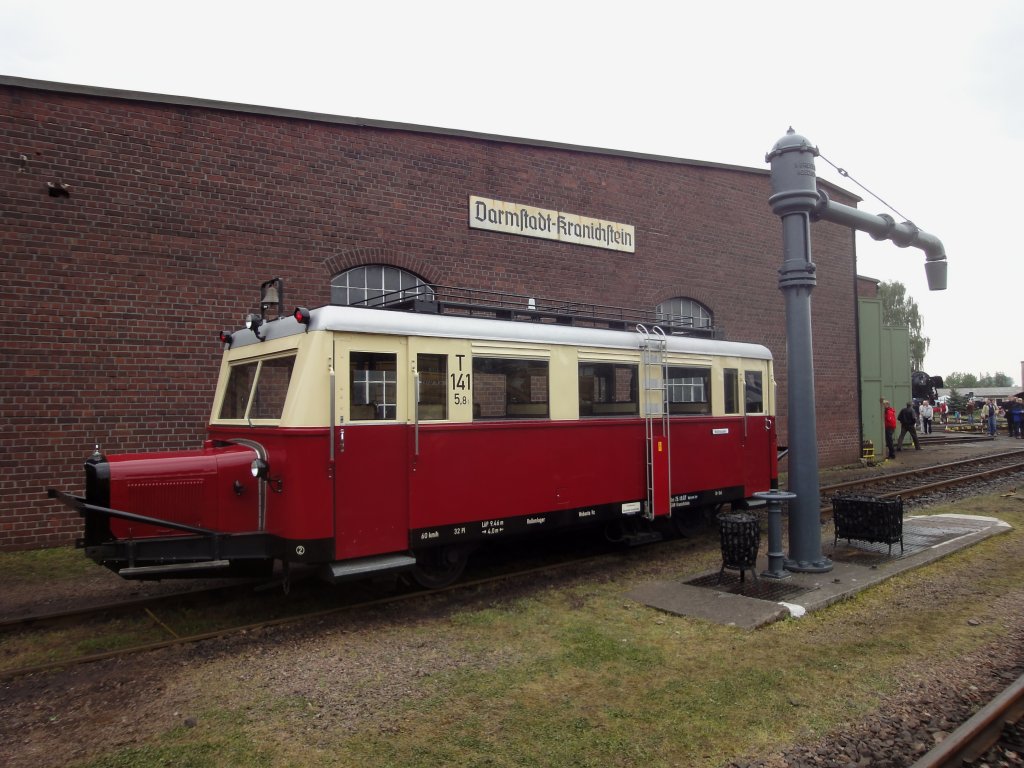 Schweineschnuzchen im Museums-Bw Darmstadt-Kranichstein am 15.05.2010