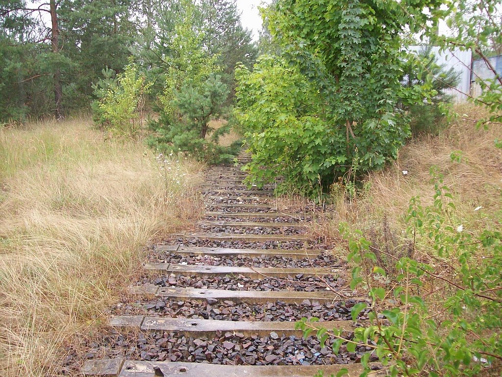 Schwellen der ehem. Anschlubahn zum Messingwerk 10.08.2008