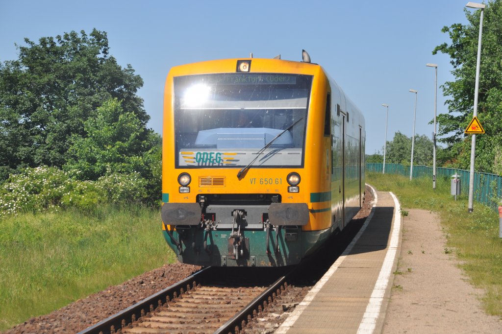 SEELOW (Landkreis Märkisch-Oderland), 25.05.2012, VT 650.61 als OE60 nach Frankfurt (Oder) bei der Einfahrt in den Bahnhof Werbig (oberer Bahnsteig)