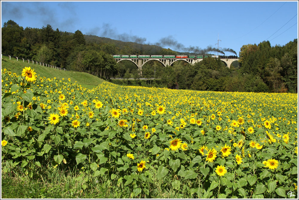 Seit 100 Jahren gibt es nun die Feistritztalbahn von Weiz nach Birkfeld.
Aus diesem Anlass fuhren die beiden Dampfloks 83.180 (ex Bosnien) und die ZB 2 (Zillertalbahn) ber diese wunderschne Strecke.
Grub Viadukt 1.10.2011