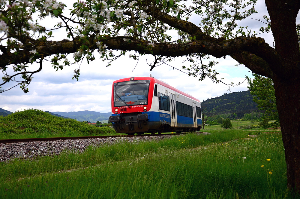 Seit einiger Zeit sind bei der SWEG-OSB zwei Regioshuttle der PEG im Einsatz. Auf der Fahrt von Oberharmersbach-Riersbach nach Biberach(Baden) (KBS 722) habe ich VT 650.05 ablichten knnen. Am 10. Mai 2010 wird der Triebwagen als SWE 87793 gleich Biberach erreichen.