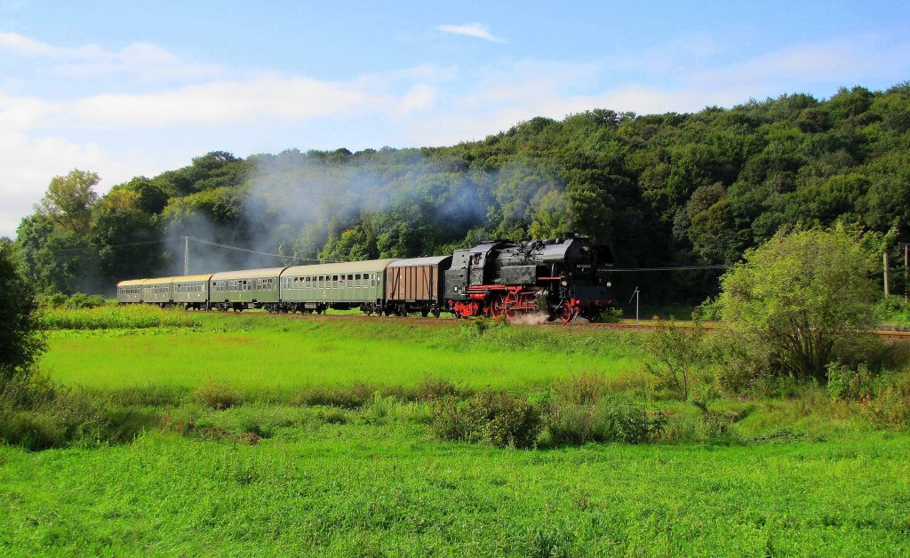 SEM 65 1049-9 mit dem DPE 24885 von Chemnitz Hbf zum Winzerfest nach Freyburg, bei  Kleinjena; 10.09.2011