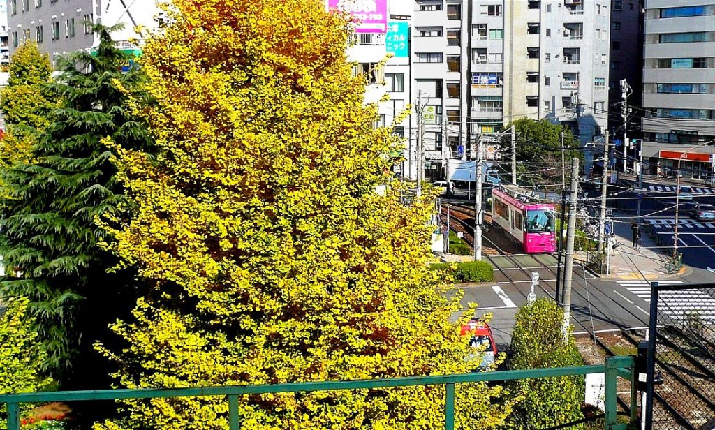 Serie 8800: Im Jahre 2009 begann die Lieferung dieser ganz neu  gestylten  Serie; bis jetzt gibt es 5 Wagen, weitere sollen bis 2011 folgen. Bild: 8801 vom Bahnsteig der JR-Station (Tokyo-)Ôtsuka aus, 28.November 2009. 