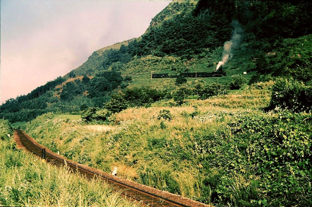 Serie 9600 im Zickzack von Tateno: Jetzt stösst Lok 6-9699 ihren Zug über die mittlere Rampe in die Höhe. 15.August 1972. Heute gibt es längst keinen Güterverkehr mehr auf dieser Strecke, nur von Zeit zu Zeit einen Dieseltriebwagen. 
