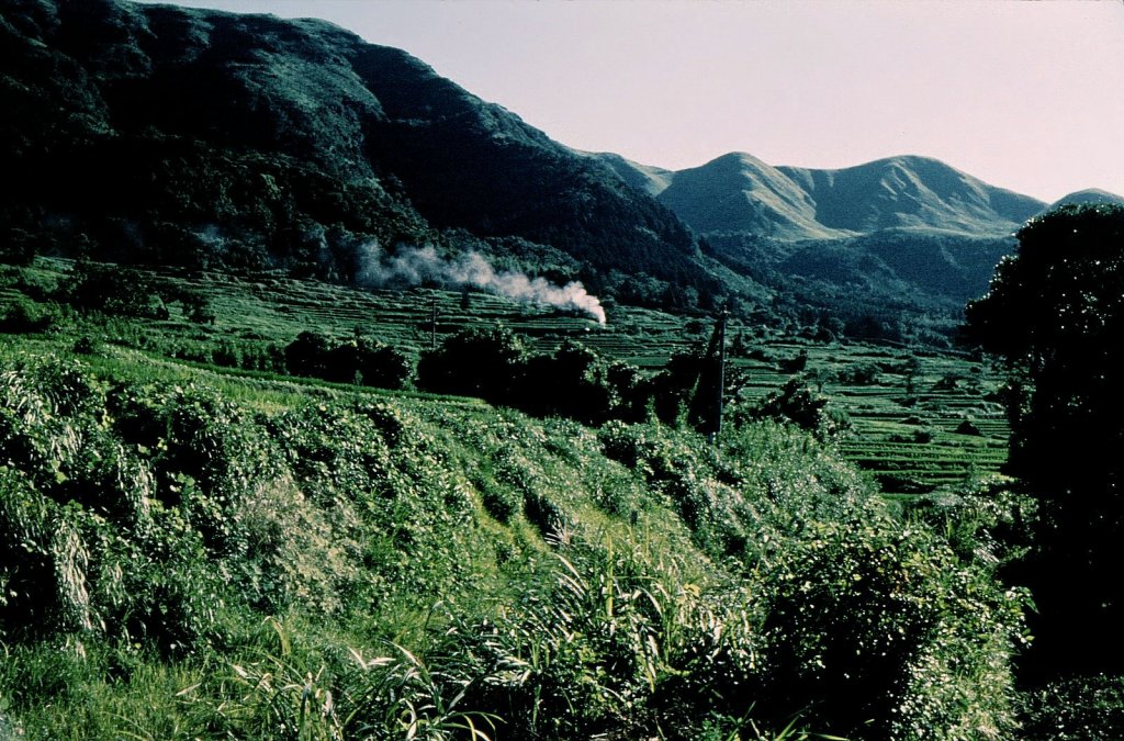Serie 9600 im Zickzack von Tateno:　Der Güterzug mit Lok 6-9699 wird immer kleiner, während er im tiefen Grün der Vulkanlandschaft des Aso der Caldera zustrebt. 15.August 1972.