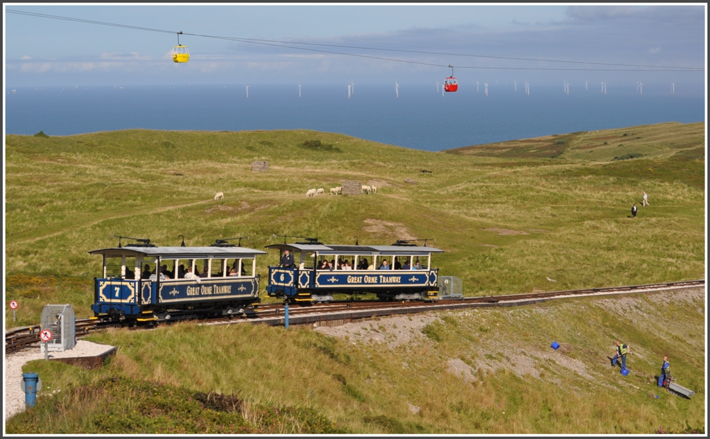 Sie kreuzen sich am Boden oder in der Luft. (02.09.2012)