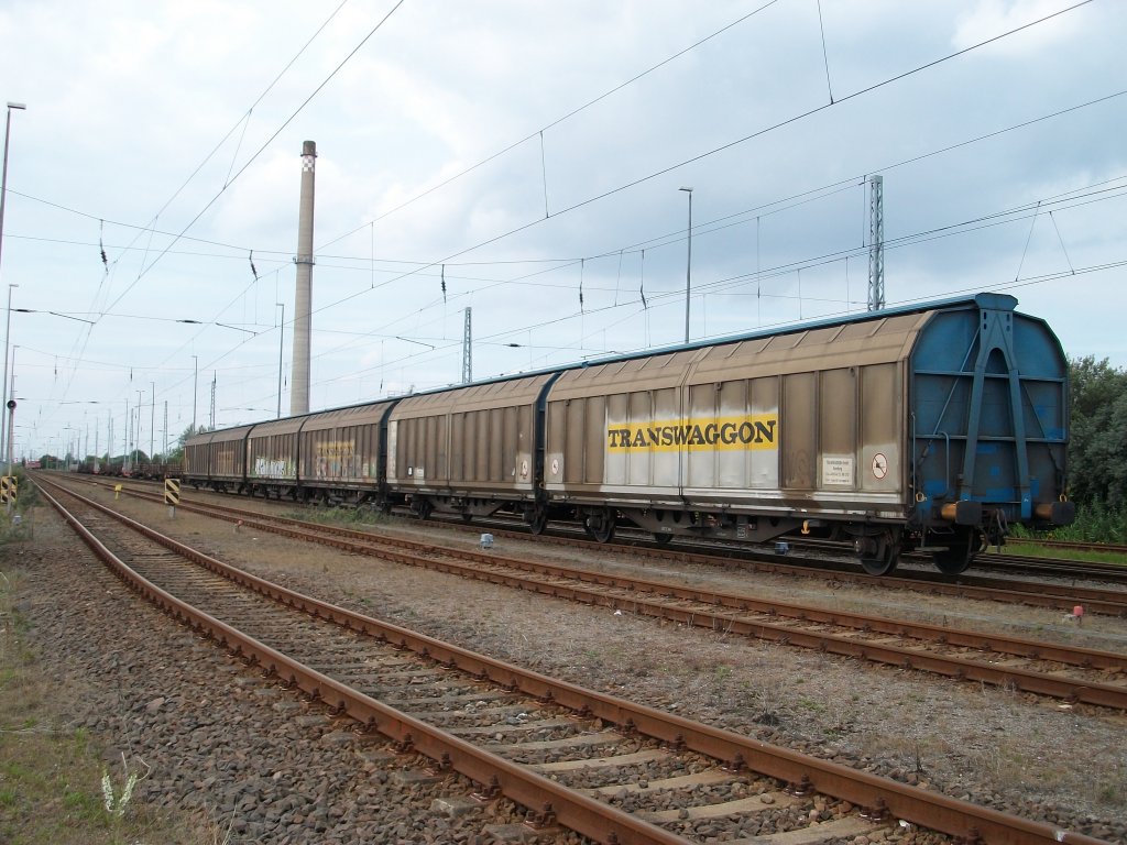 Sie sind bei jeder Schwedenfhre dabei,die Schiebewandwagen von TRANSWAGGON.Hier standen am 20.August 2010 in Mukran einige Wagen abgestellt.