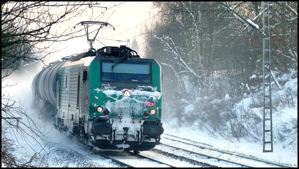 SNCF 437023 am 29.12.2010 mit Kesselwagenzug aus Tschechien unterwegs in Richtung Dresden, hier kurz vor Kurort Rathen.