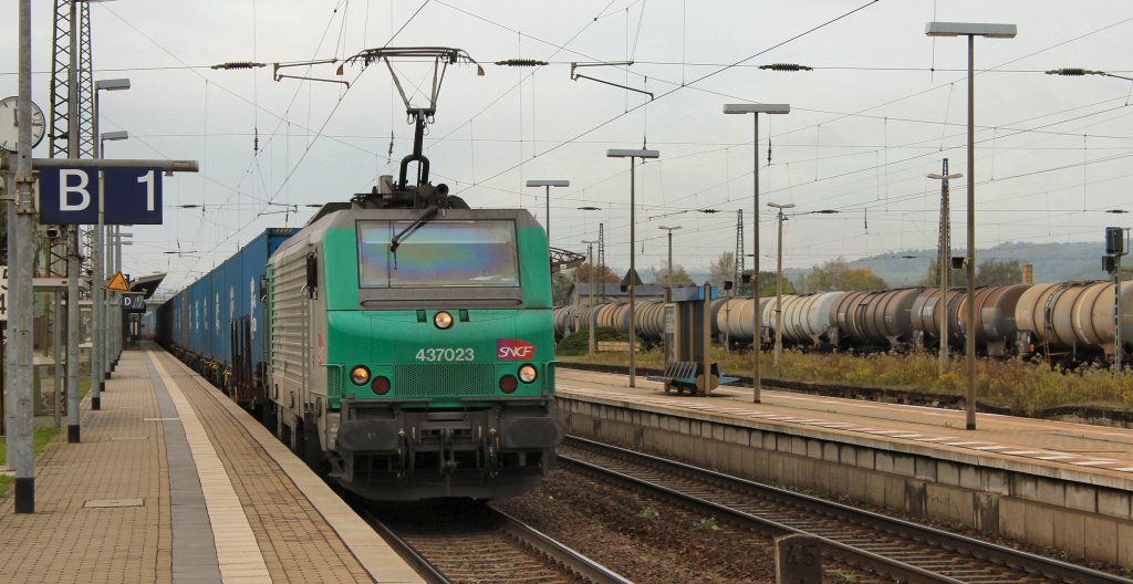 SNCF/FRET 437023 mit einem Containerzug in Naumburg (Saale) Hbf am 13.10.11