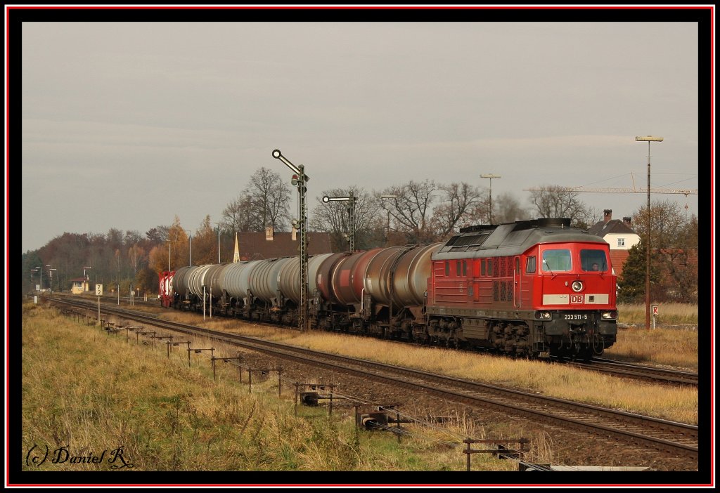 So habe ich mir das vorgestellt. Das ist fr mich  Tling . Zu sehen ist 233 511 mit einem fast reinen Kesselzug nach Burghausen. (03.11.10) 
