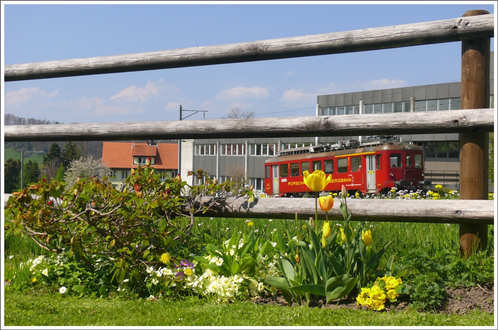 So habe ich die RHB erlebt, als ich noch im Elternhaus wohnte. Foto aus dem Garten meiner Mutter. (27.04.2010)
