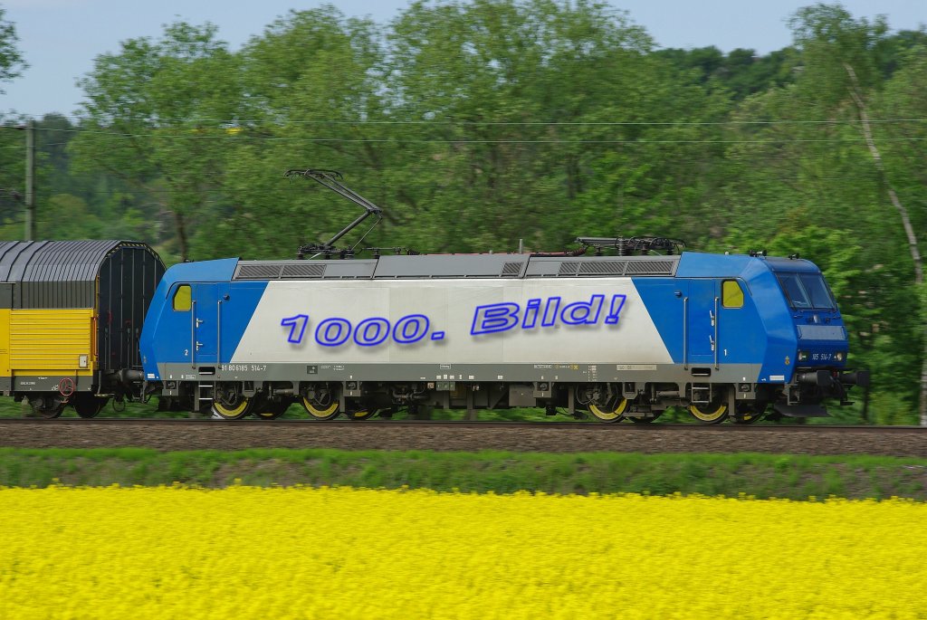 So, nun ist es soweit: Das 1000. Bild! So schnell ist man vierstellig dabei... Wahnsinn. Zu diesem Ereignis wurde 185 514-7, in Fahrtrichtung Norden kurz vor Eschwege West am 21.05.2010, etwas dekoriert.

Und wieder darf ich mich bei allen BB. Usern fr das Anschauen und Kommentieren meiner Bilder bedanken und wnsche wie immer weiterhin viel Spa auf dieser Seite. Einen Dank auch an den Webmaster und die Admins, die immer gute Arbeit leisten und ohne deren Zeitaufopferung dies alles nicht mglich wre!