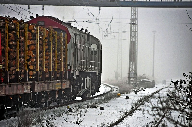 so schnell  wie der Tiger aus dem Gebsch-sprich Nebel  kam, fuhr der OHE-Tiger auch wieder in den Nebel in den Bf Stralsund am 06.01.2010