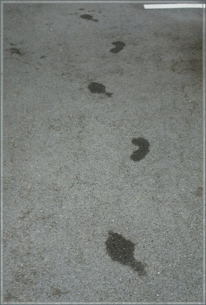 So zeigt sich ein Bahnsteig-Zugang, wenn er sich kaum 20 Meter vom Lac Lman (Genfer See) entfernt befindet...
Rivaz, den 15.Juni 2011 (+26) 